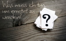 Der barmherzige Samariter Image